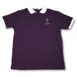 P024 durable polo t-shirt company  P024 durable polo t-shirt company